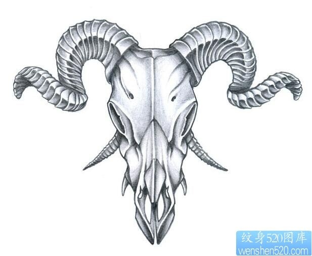 一幅羚羊纹身手稿作品