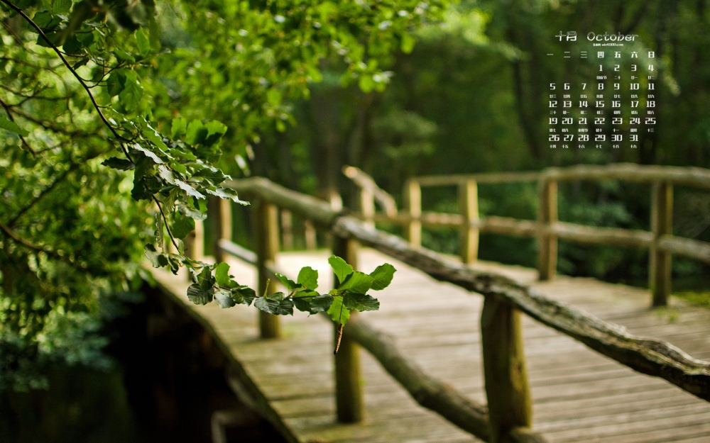 2015年10月日历夏天公园绿荫风景桌面壁纸下载6