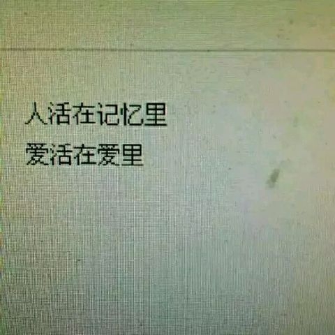 “怂在喜欢你”