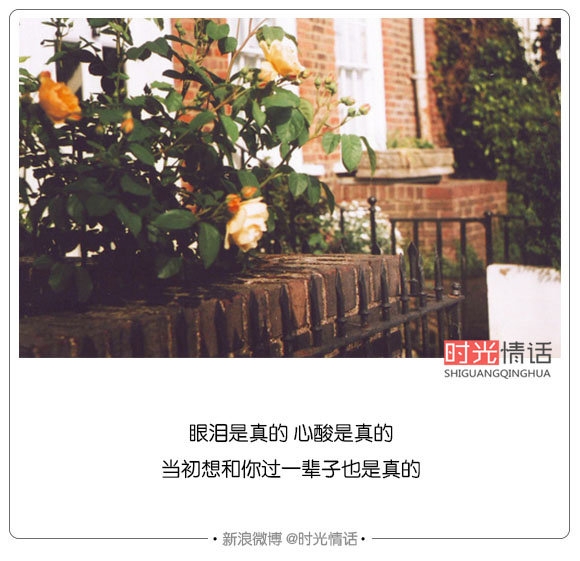 挽不回的遗憾 忘不了的爱