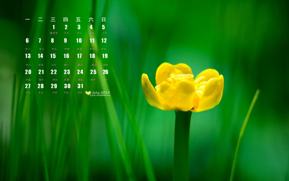 2015年7月日历新清绿色植物花卉护眼高清电脑壁纸下载1