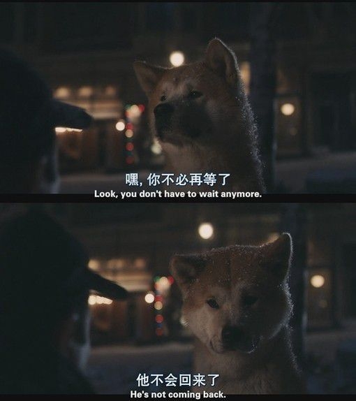 我活了一辈子，做了一辈子别人