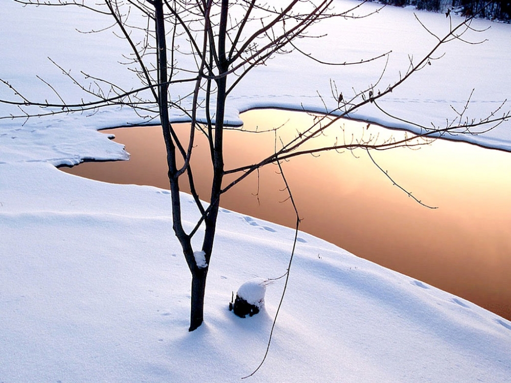 雪中写真 第二辑