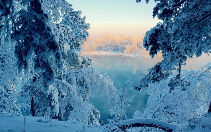 冬季雪景摄影桌面壁纸1920x1200【15P】