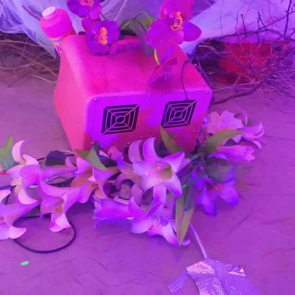 有些话说说就过了 有些人笑笑就走了