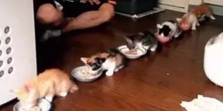 搞笑图片：军训之后果然不一样