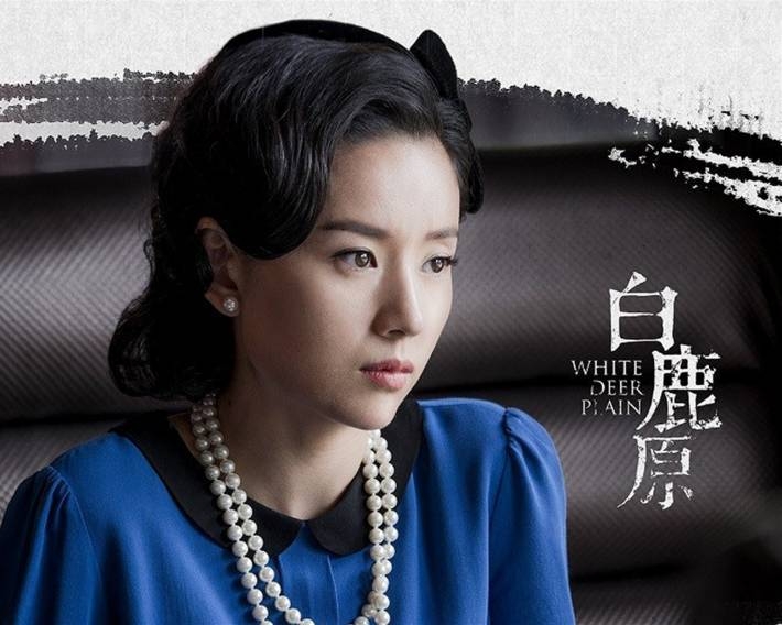 电视剧《白鹿原》海报电脑壁纸