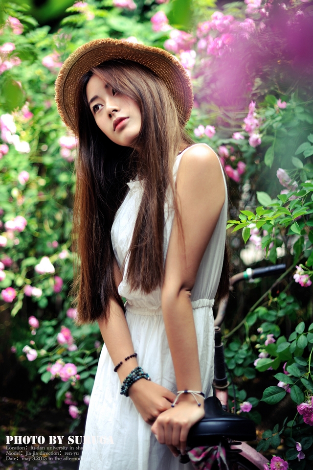 精选蔷薇花开清纯少女唯美手机壁纸下载