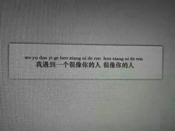 只是像你的人我无能为力.