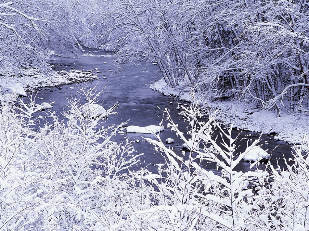 雪中写真 第二辑