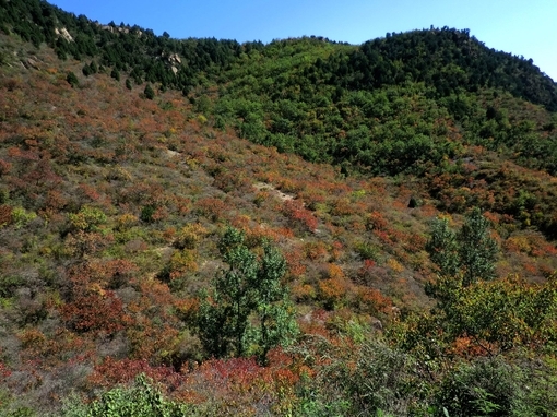 人间天堂桂林好山好水美图