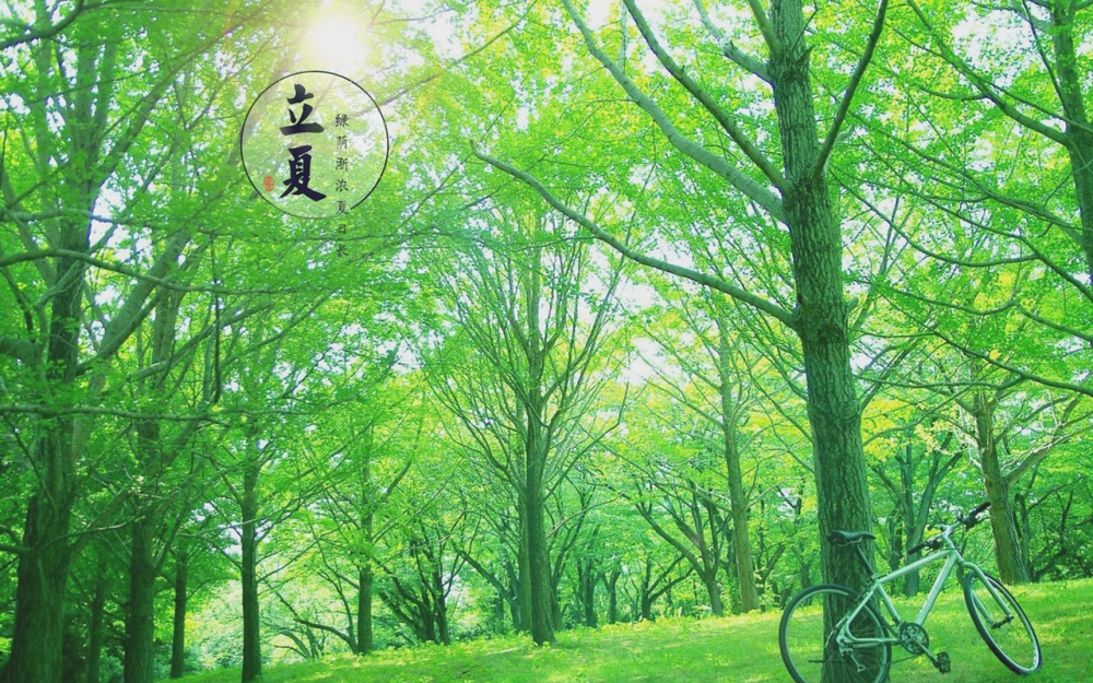 立夏二十四节气之清新主题壁纸