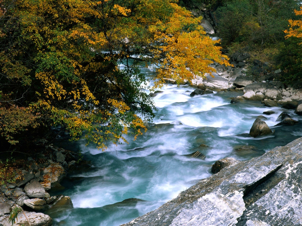 瀑布溪流 第四辑