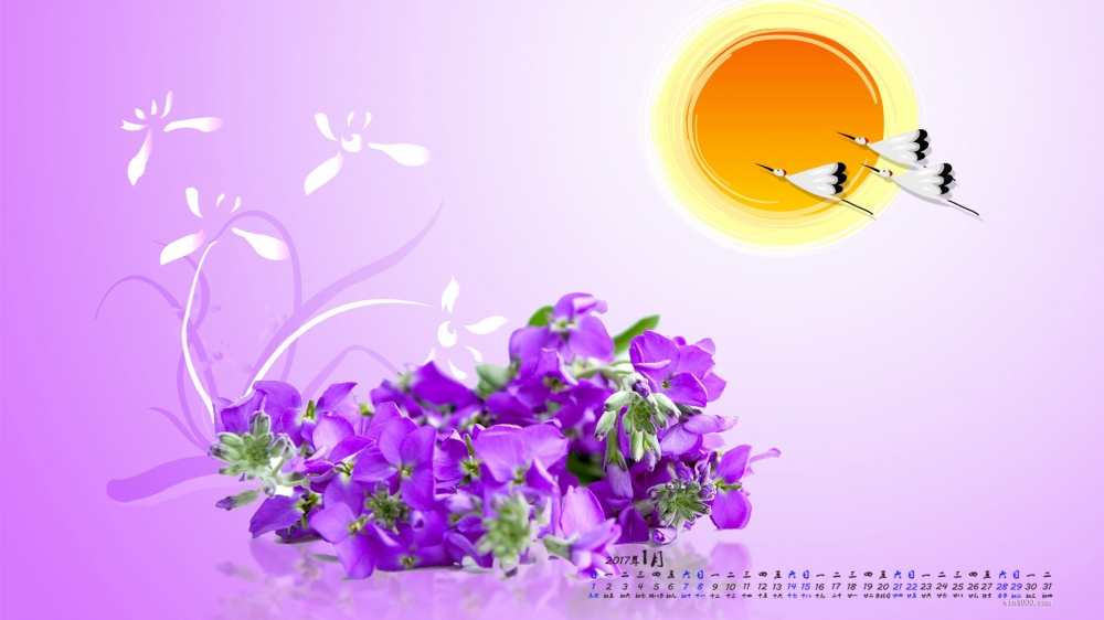 2017年1月唯美花朵日历壁纸  第二辑
