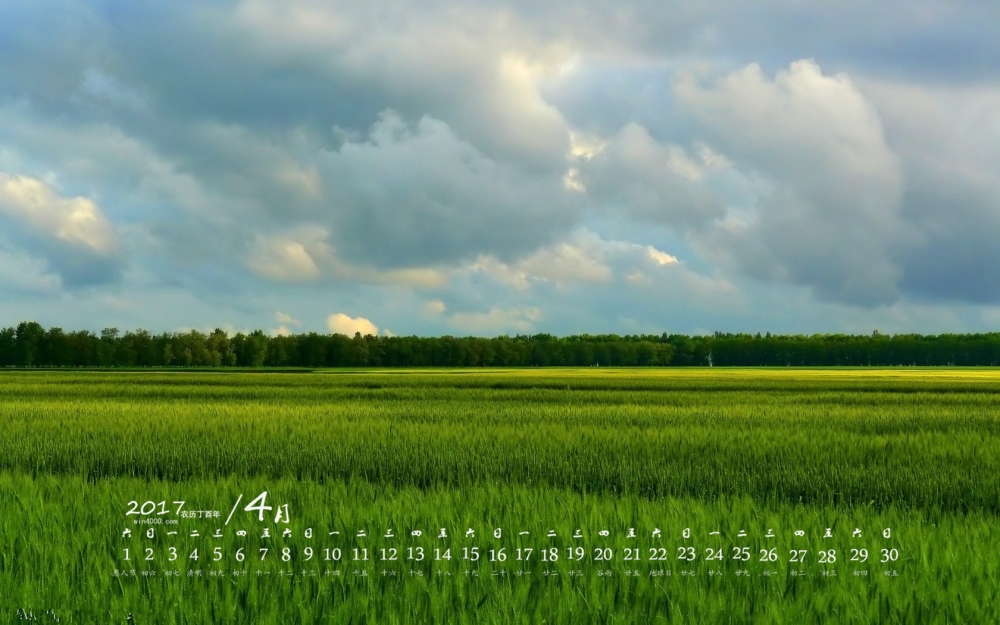 2017年4月绿色植物护眼桌面日历壁纸