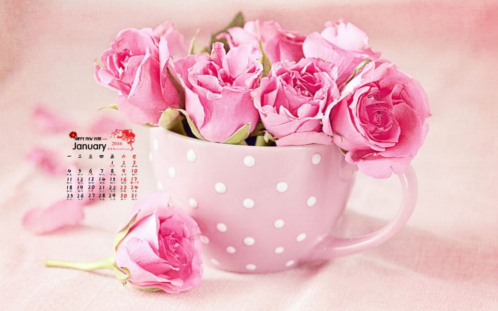 2016年1月日历高清玫瑰花桌面壁纸下载