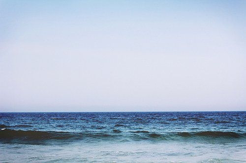碧海蓝天海鸥自由翱翔唯美图片
