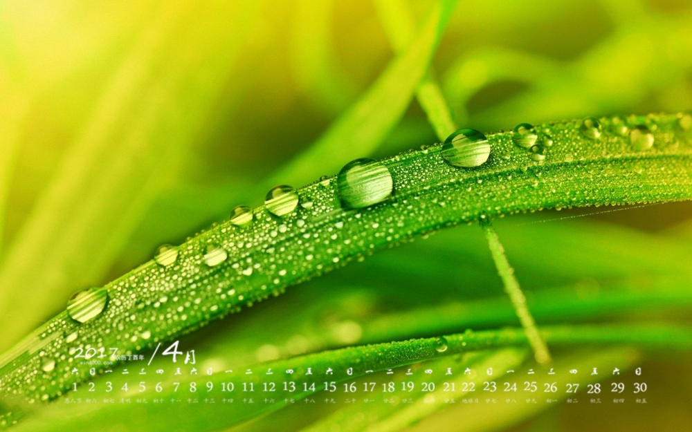2017年4月绿色植物护眼桌面日历壁纸