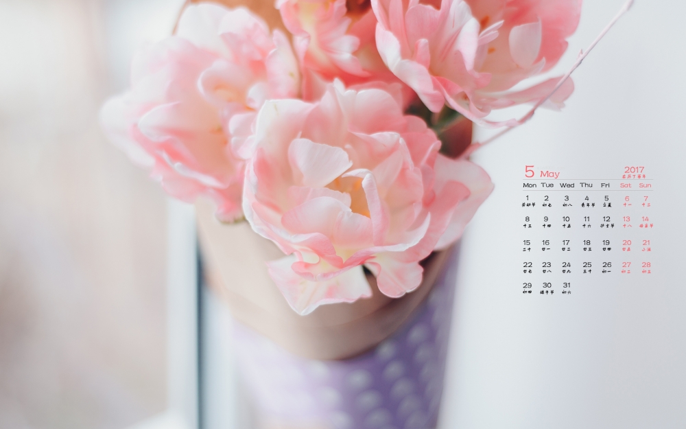 2017年5月娇嫩花朵日历壁纸
