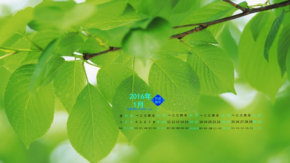 2016年1月份日历风景绿色护眼壁纸4