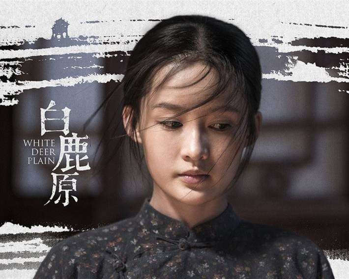 电视剧《白鹿原》海报电脑壁纸