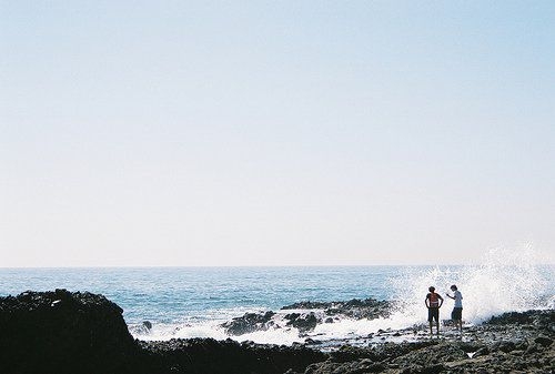 碧海蓝天海鸥自由翱翔唯美图片