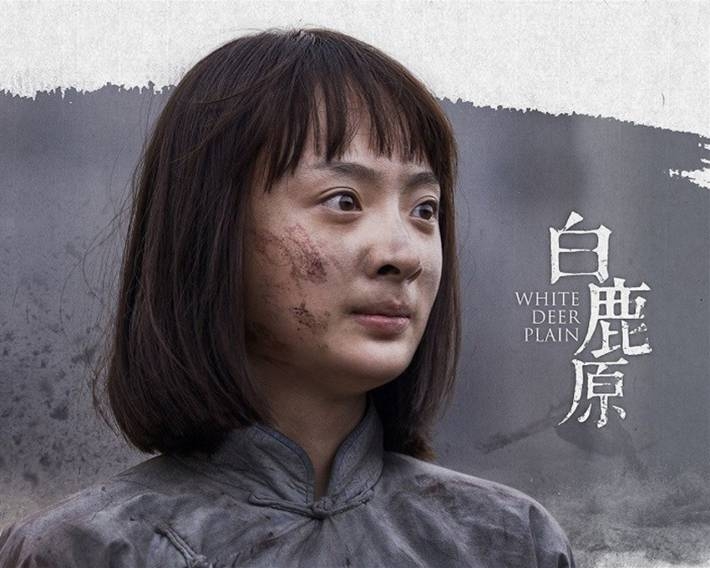 电视剧《白鹿原》海报电脑壁纸