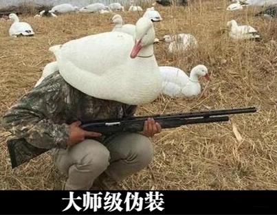 前途一片漆黑~