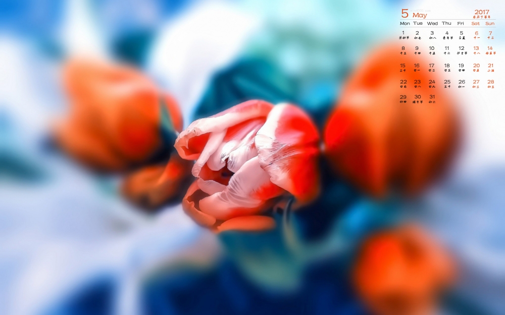 2017年5月娇嫩花朵日历壁纸