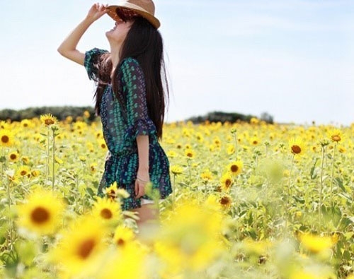 在向日葵花中拍摄写真的女生照