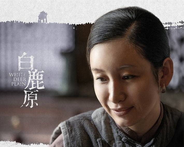 电视剧《白鹿原》海报电脑壁纸