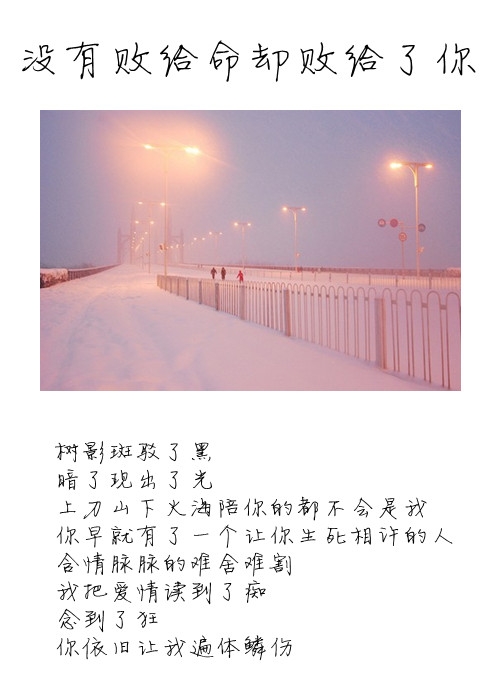 彼岸光年、流离半生。