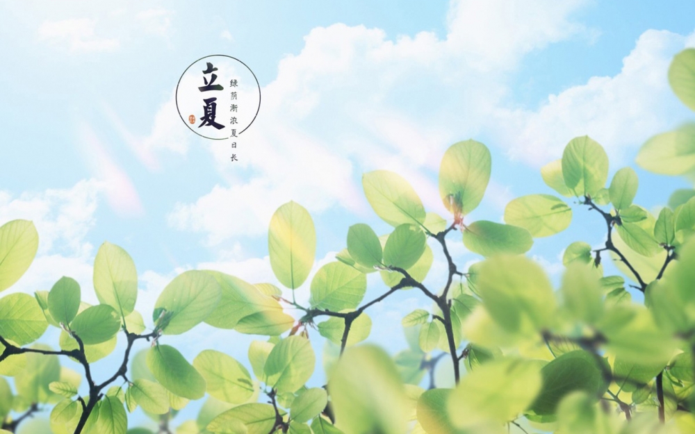 立夏二十四节气之清新主题壁纸