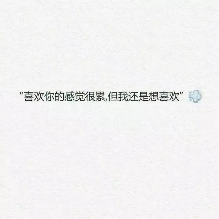 “我在等风也在等你”
