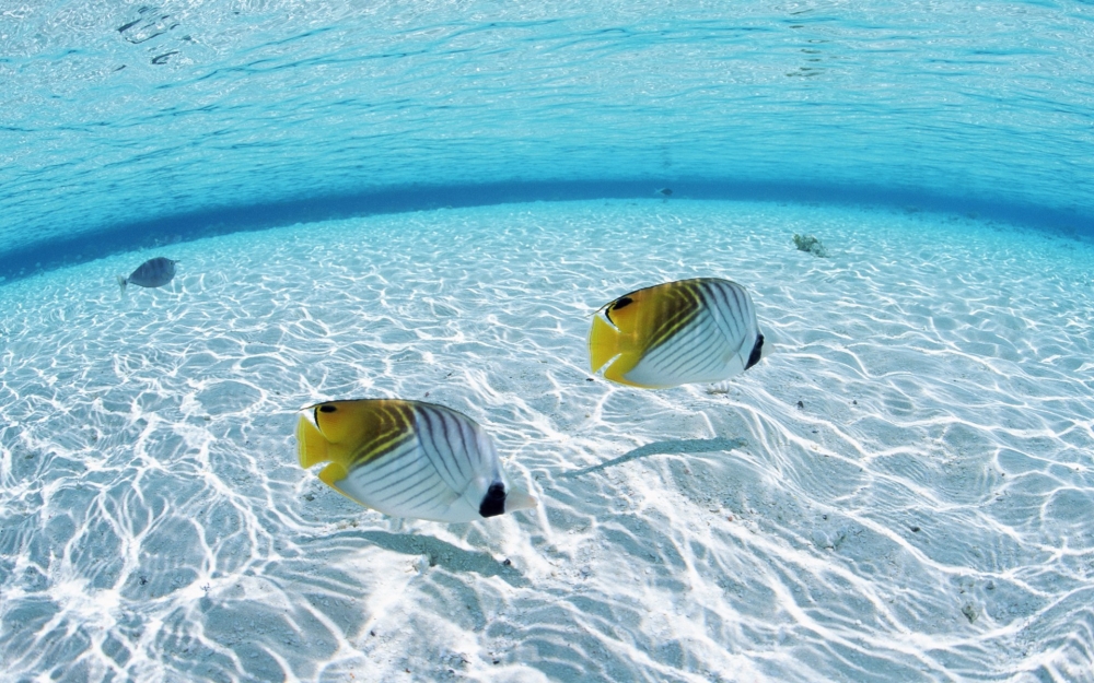 夏日海滩风景高清壁纸