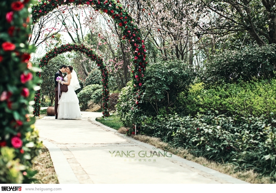 不离不弃 婚纱照