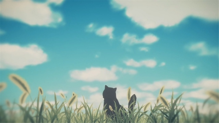 《她和她的猫》剧照高清电脑壁纸图片