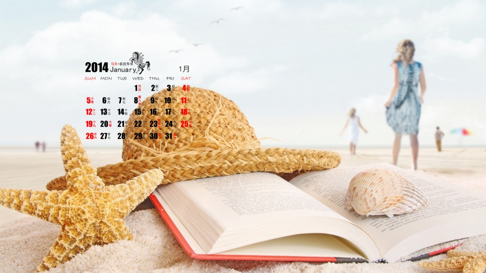 2014年1月电脑壁纸之浪漫爱情沙滩日历
