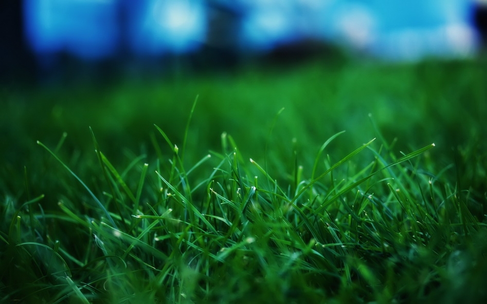 摄影风光植物壁纸 2560X1600【58P】