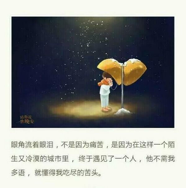 人们都说故事与酒更配，却不知这样更容易让人落泪