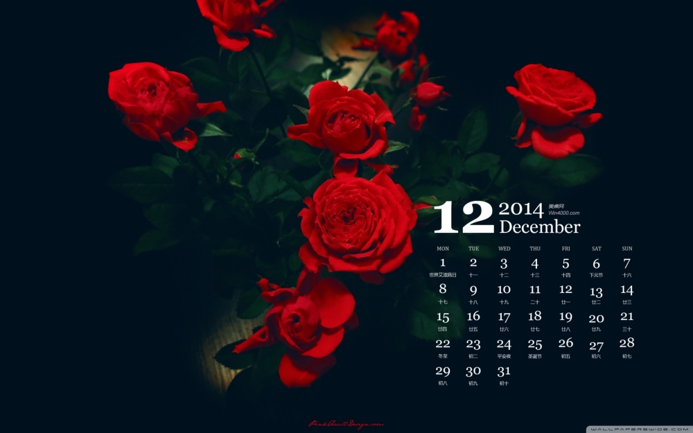 2014年12月日历壁纸唯美好看的清新护眼鲜花素材图片大全