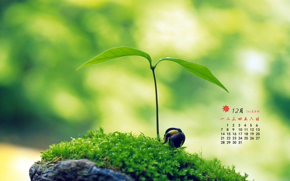 2015年12月日历绿色护眼桌面壁纸下载3