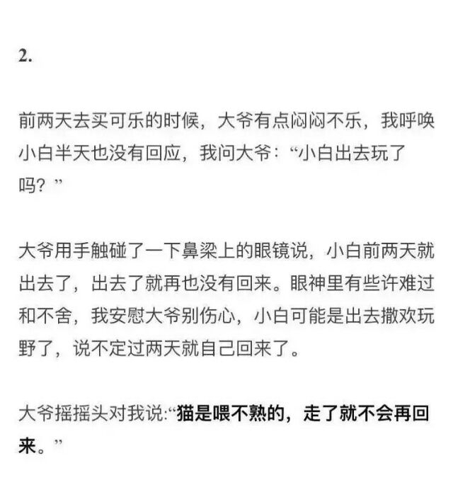 猫是喂不熟的 而你也是 我是舍不得说再见的 但你不是