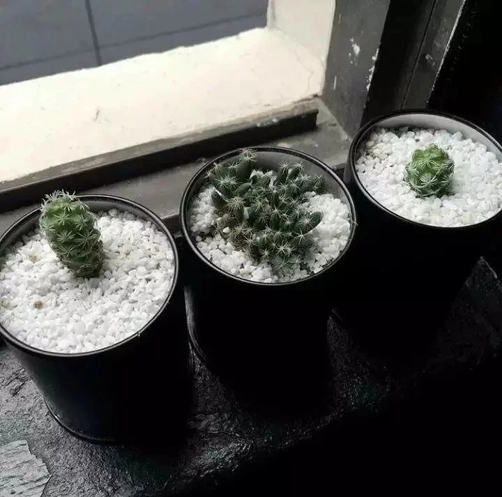 你过来 不许和别的女生玩