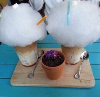 棉花糖饮料和盆栽蛋糕