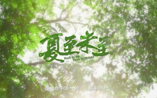 夏至未至电视剧剧照高清桌面壁纸