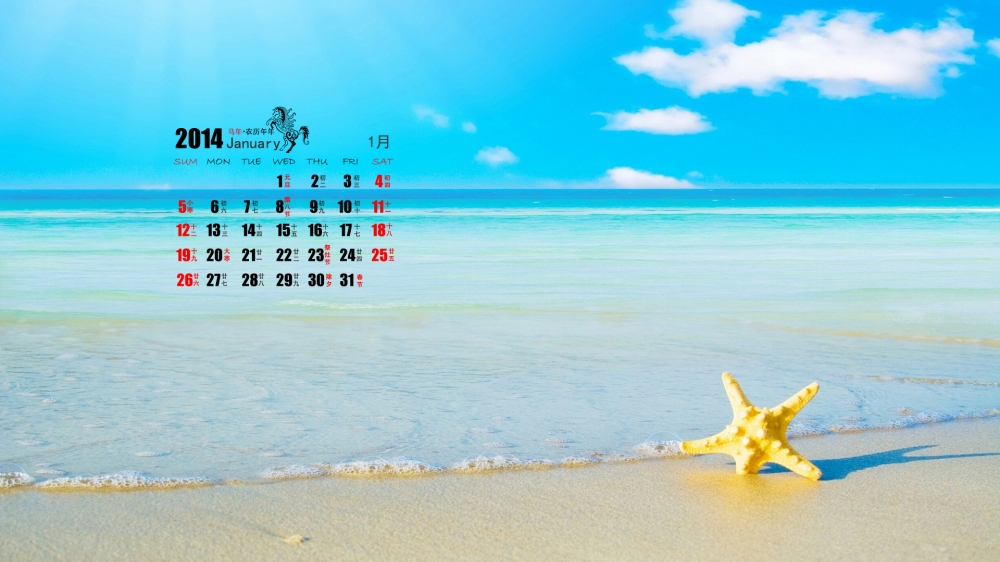 2014年1月电脑壁纸之浪漫爱情沙滩日历