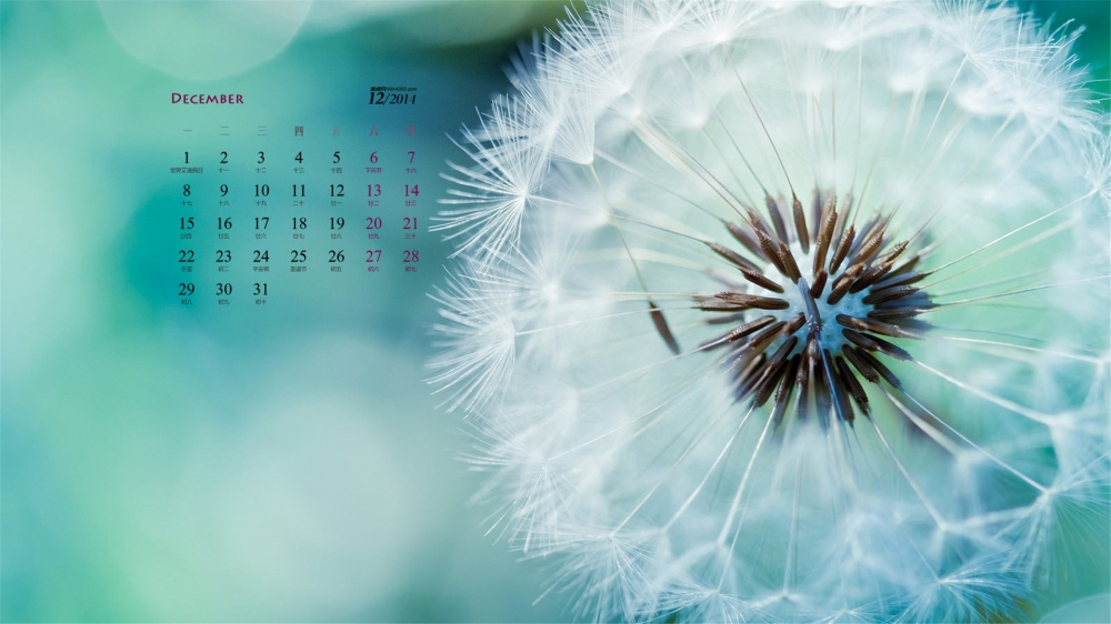 2014年12月日历清新植物花卉绿色护眼桌面壁纸下载