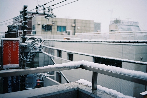 冬天来啦  唯美清新雪景图片