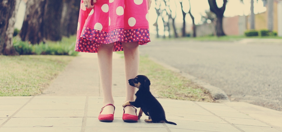 可爱小狗抱小女孩腿桌面壁纸